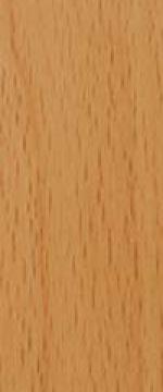 Beech