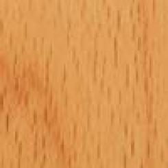 Beech