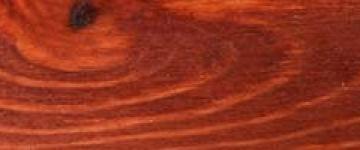 Red Forest