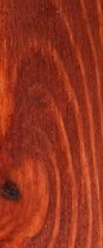 Red Forest