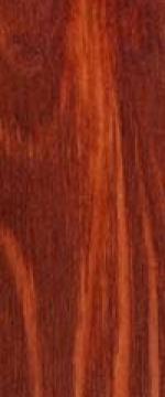Red Forest
