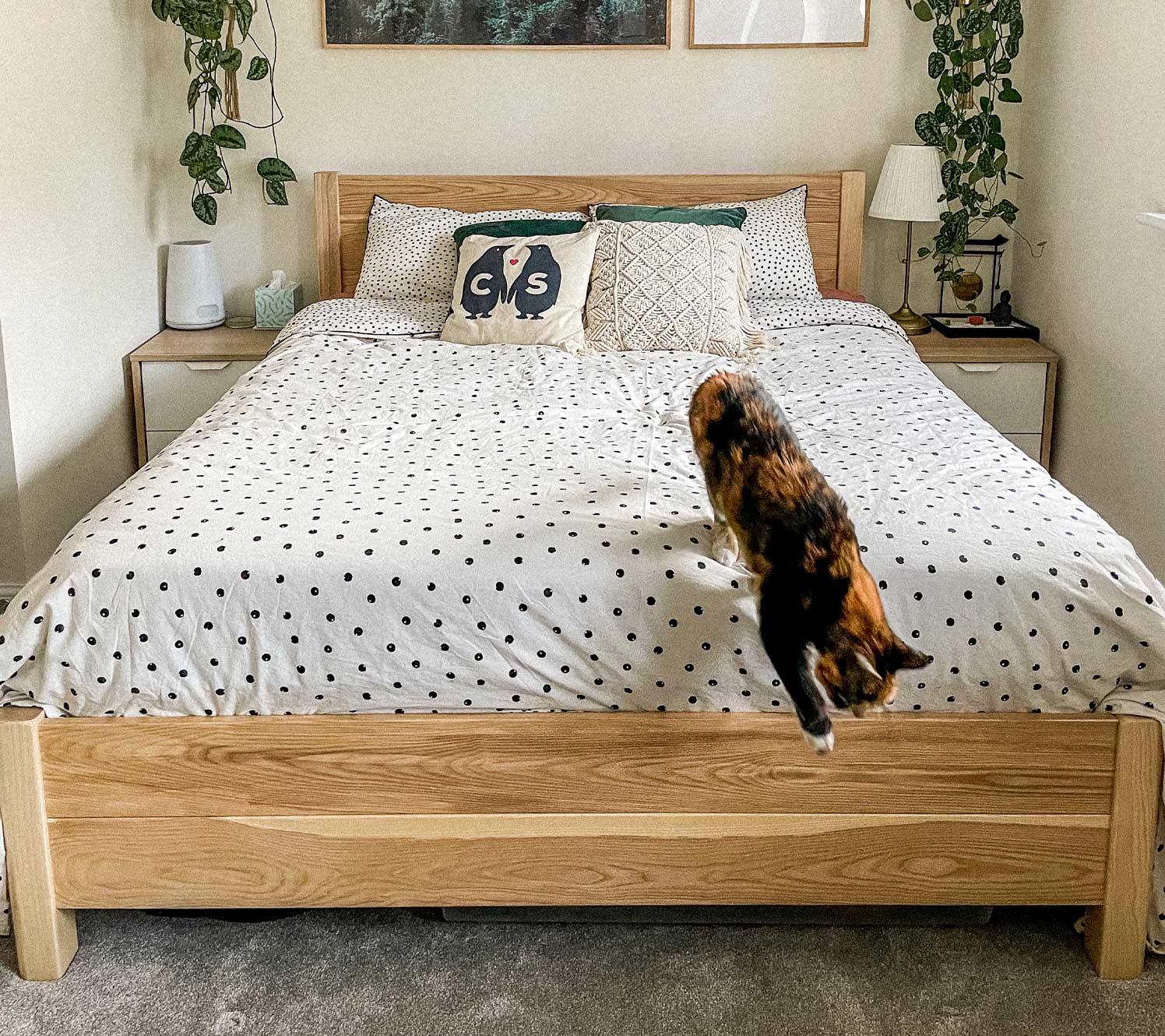 Light colours long bedroom decorating ideas.